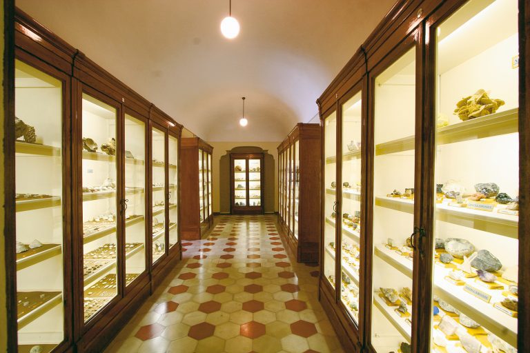 La collezione di fossili e minerali